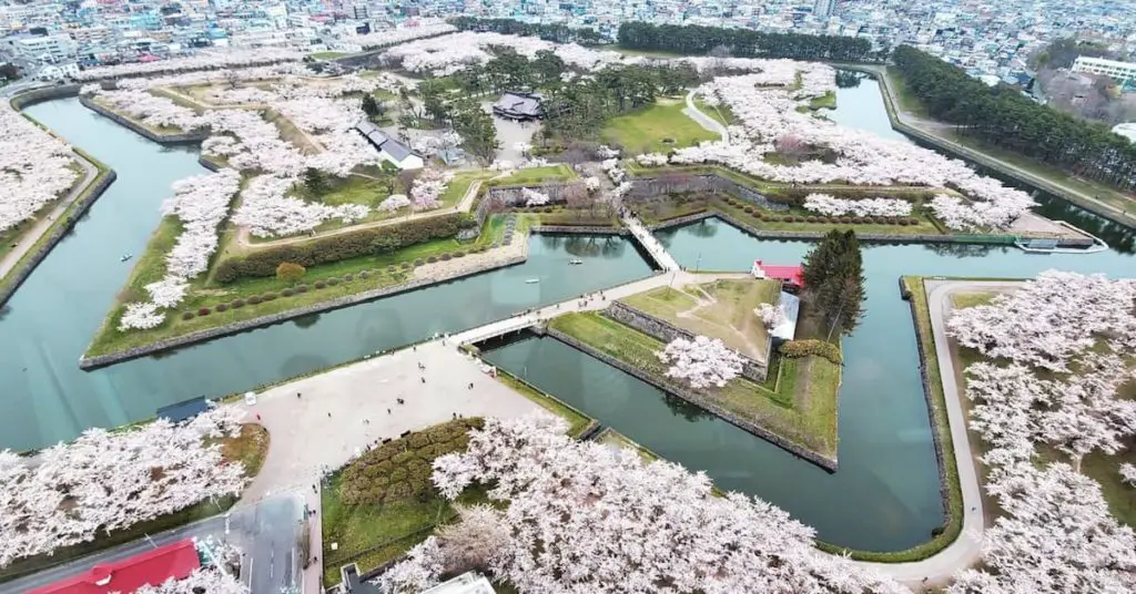 cherry blooms in Hakodate Hokkaido