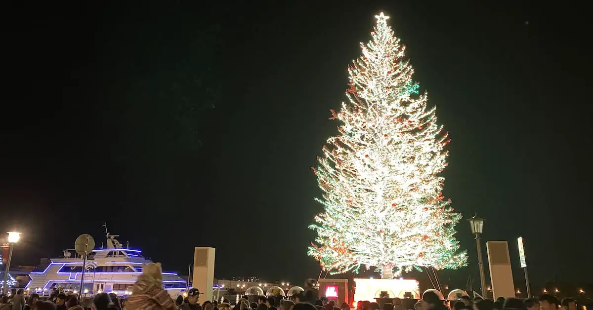 Hakodate Christmas Fantasy – A Giant Christmas Tree Floating ...