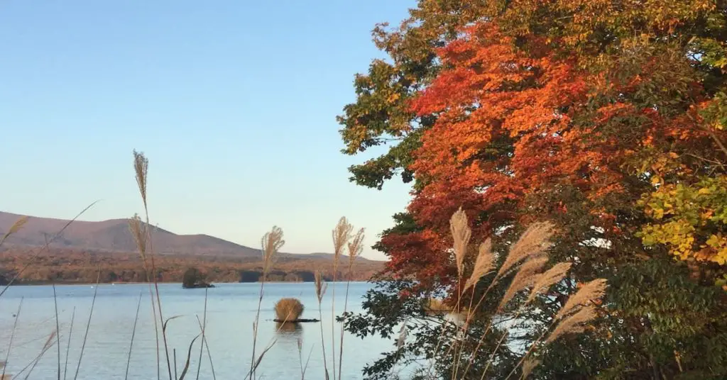 Hokkaido autumn