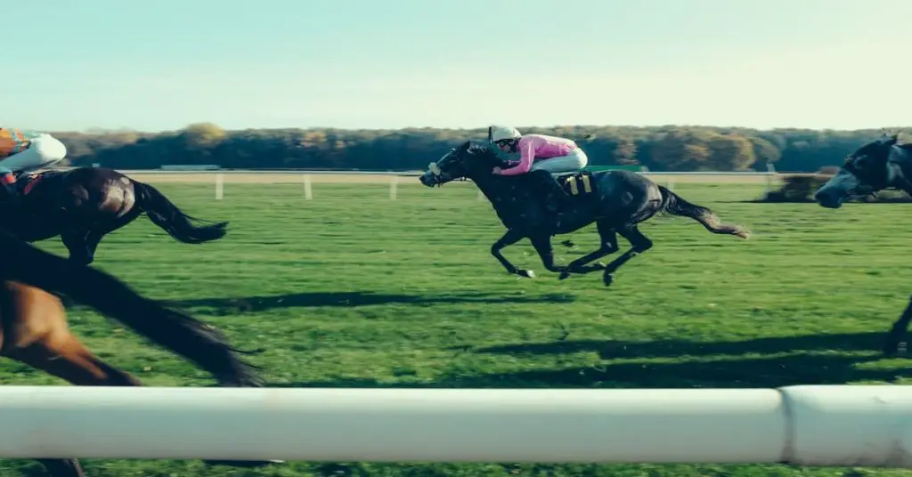 JRA horse racing in Hakodate