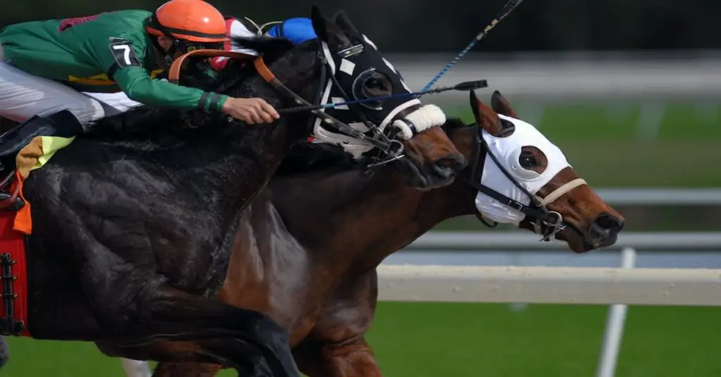 JRA horse racing in Sapporo