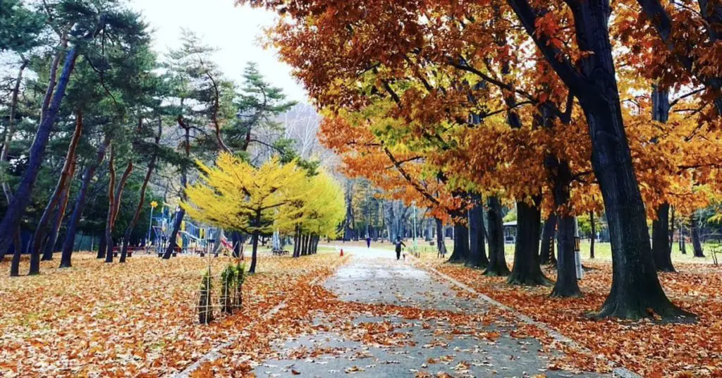 Maruyama Park