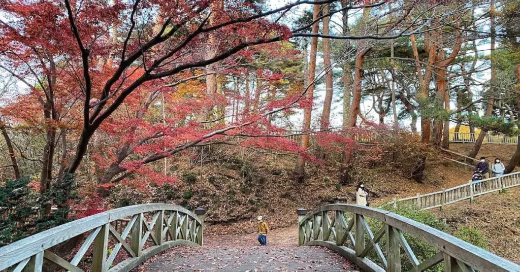 Miharashi Park autumn