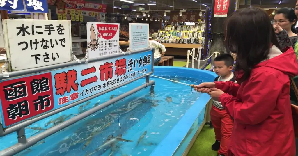 squid fishing in Hakodate