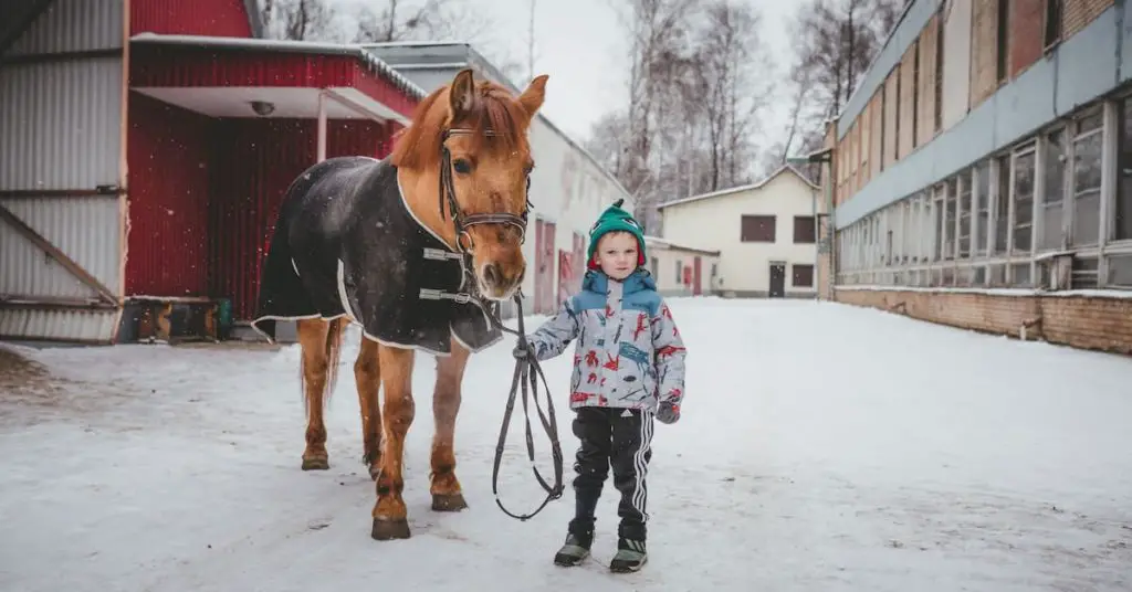 horse riding in Hokkaido